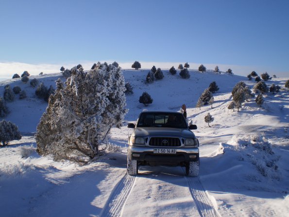 2009 11 01 - Tacoma Track Has Arrived! First Transport We Got - November 2009_595