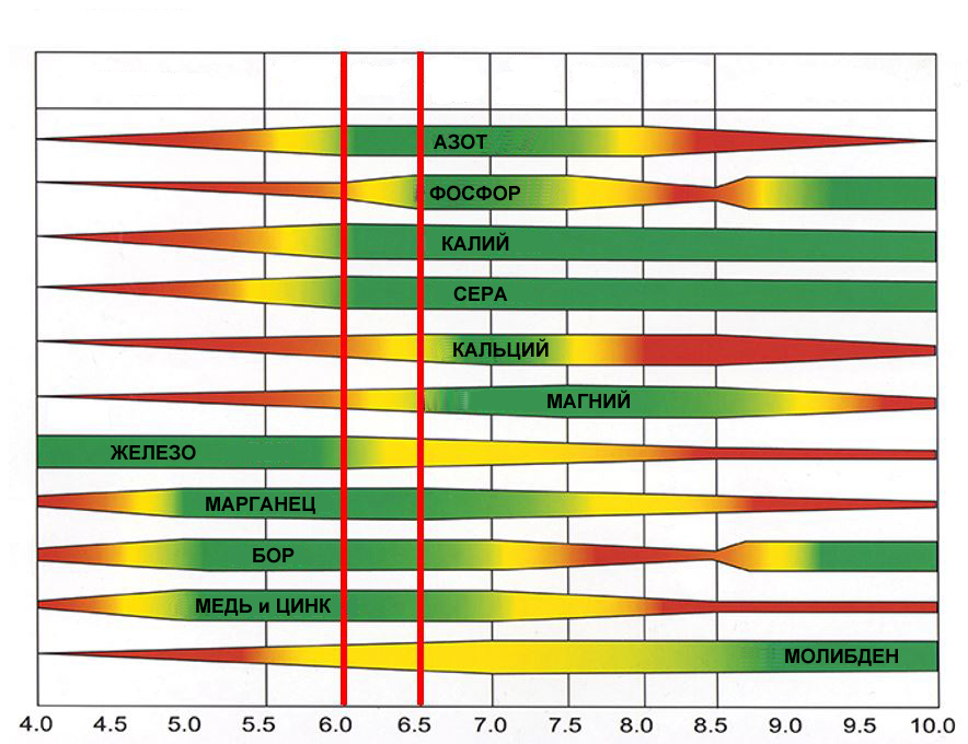 Soil_ph_effects_plant_nutrient_availability РУС copy