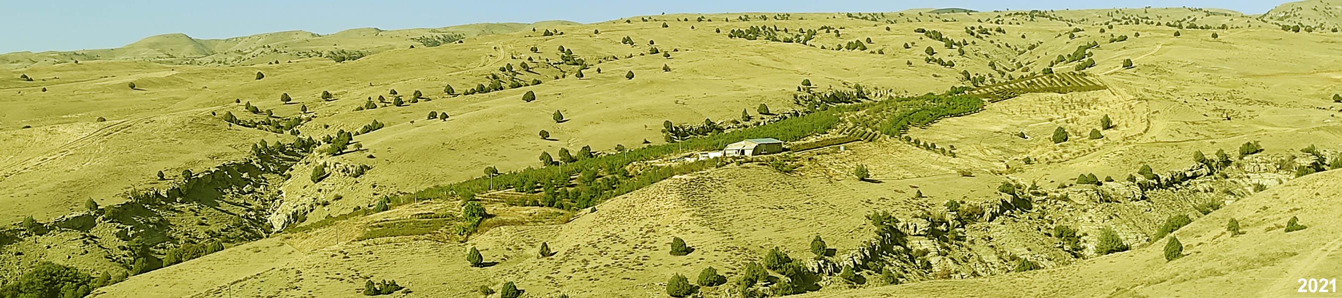 Ю-С-Аялолян-2021