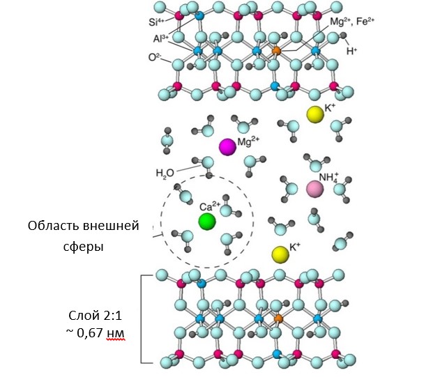 Основы - почвенные минералы и питание растений 2