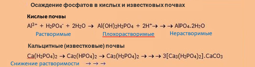 Основы - почвенные минералы и питание растений 5
