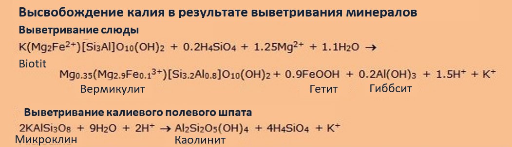 Основы - почвенные минералы и питание растений 6